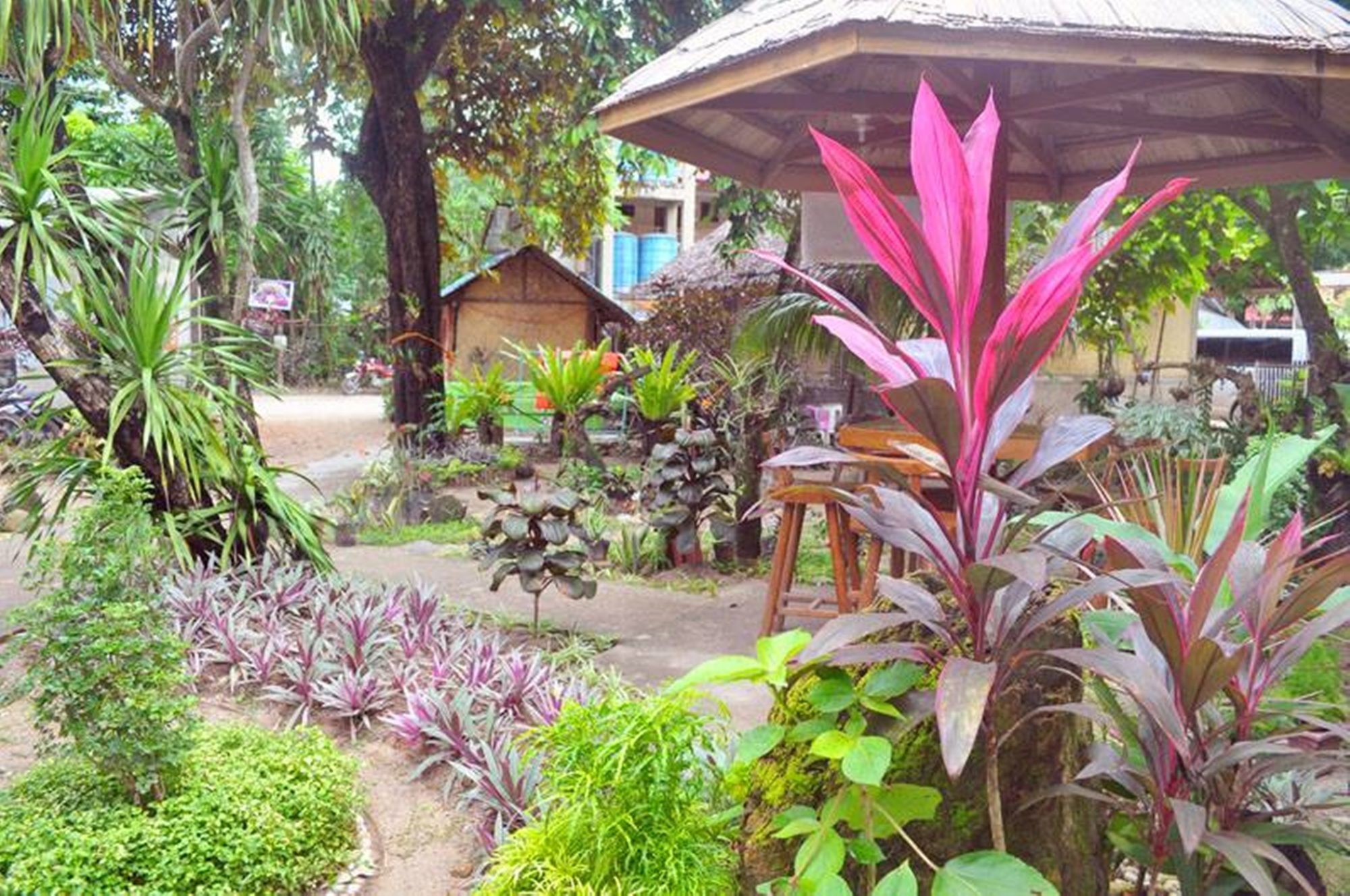 Peak House Garden Pension El Nido Extérieur photo